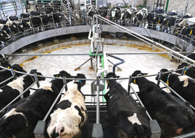 Óleo Ordenhadeira Cadium