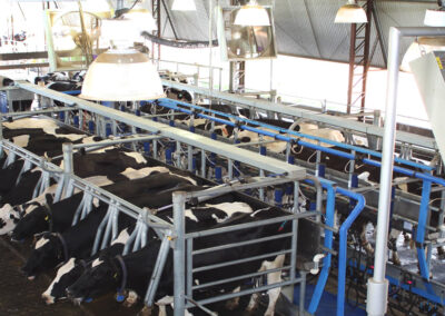 Óleo Ordenhadeira Cadium