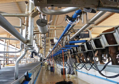 Óleo Ordenhadeira Cadium